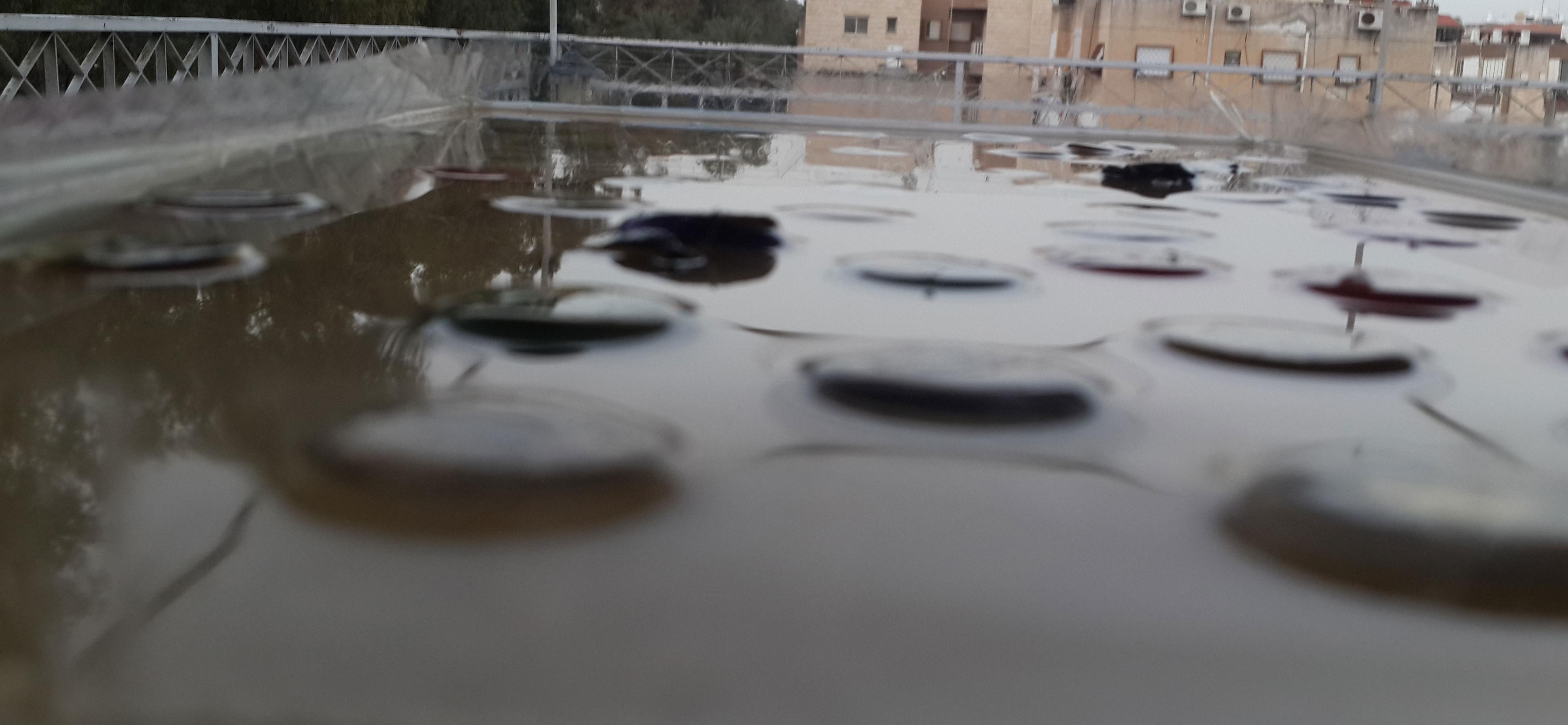 close view and low angel view of the bottles caps
